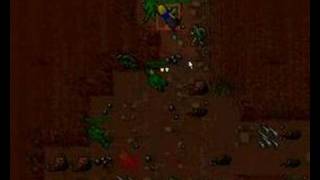 Julera - Noobs Pking