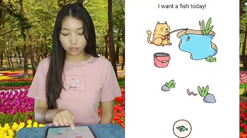 Brain Find Level 53 I want a fish today Walkthrough