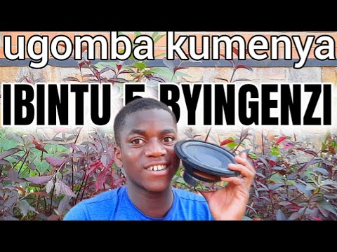 IBINTU 5 BYINGENZI UGOMBA KUMENYA AKA KANYA - YouTube