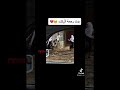 حال الطلب في سنه
