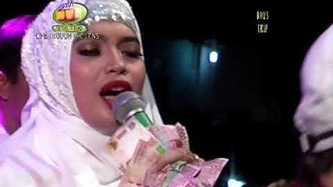 Jaran goyang yusnia zebro