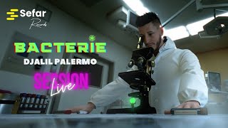 Djalil Palermo - Bactérie (Official Music) - Live 2024 image