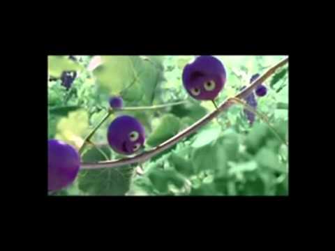陳奐仁 綠茶利賓納 廣告惡搞(2)