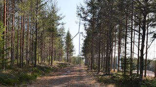 En Dag På Fryksdalshöjden Sunne