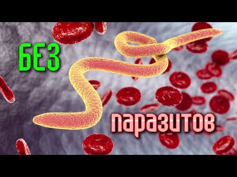 Как ОЧИСТИТЬ ОРГАНИЗМ от ПАРАЗИТОВ?