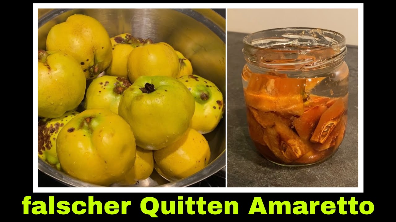 Falscher Amaretto aus Quitten Rezept | Quittenlikör Quittenschnaps | Selbstversorgung 