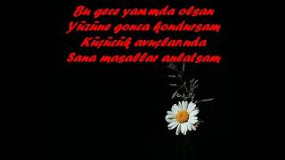 Bahadır Sağlam - Kır Papatyası