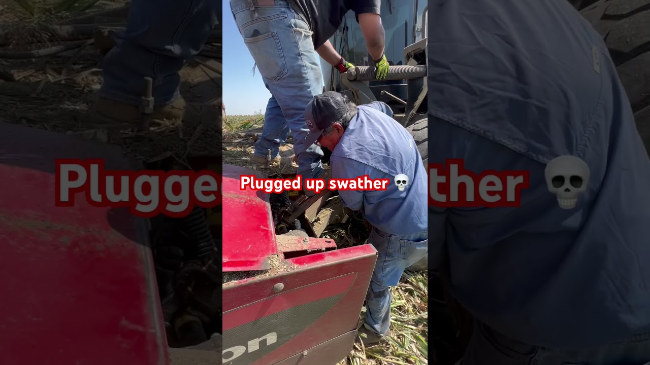 Plugged up macdon 1240 swather 💀 