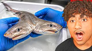 CRAZIEST Discoveries That Shocked Scientists!