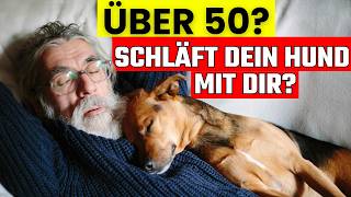 Wenn du über 50 bist und dein Hund mit dir schläft, solltest du das wissen