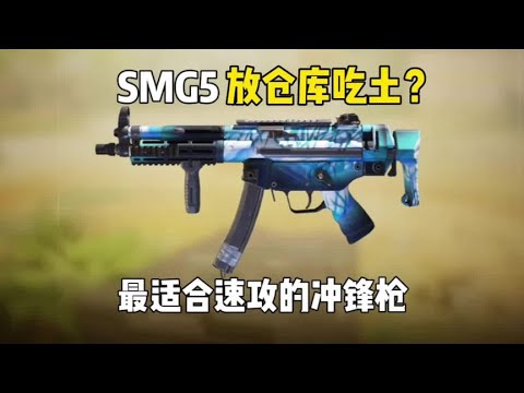 【使命召唤手游】这把枪你们有玩过吗 #蛋老六