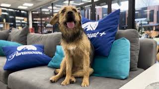 HOMENAJE A CECILIA Asi fue el especial comienzo de Gran Hermano Chile