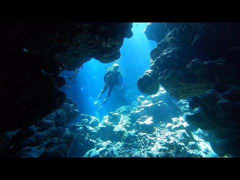 Diving the Claudio Reef, Fury Shoals, The Red Sea, Deep South, Egypt