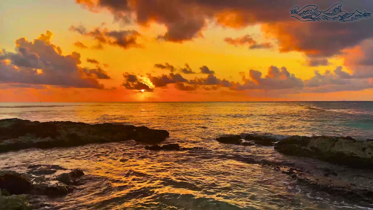 Beach Yoga Flow – 4K Tropical Ocean Sounds for Zen & Mindful Movement