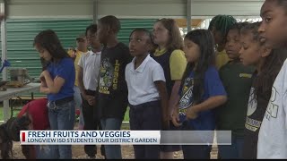 Longview ISD growing food in district garden, teaching students about healthy eating