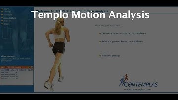 Templo Motion Analysis Overview