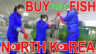 Buy Fresh Fish in North Korea