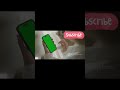 GestureDetector in Flutter – Make Anything Clickable! 👆✨ #flutter #shorts