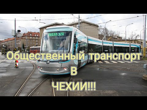 Видео: Каква бира си струва да опитате в Чехия