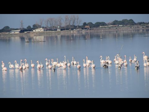 L'ISOLA AeR B&B, Lesina, Italy