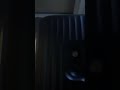 ライブ ハイライト