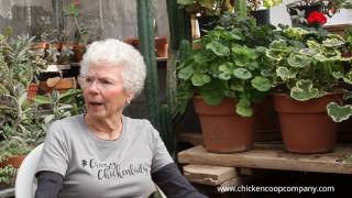 The Truth About Colored Chicken Eggs Profile