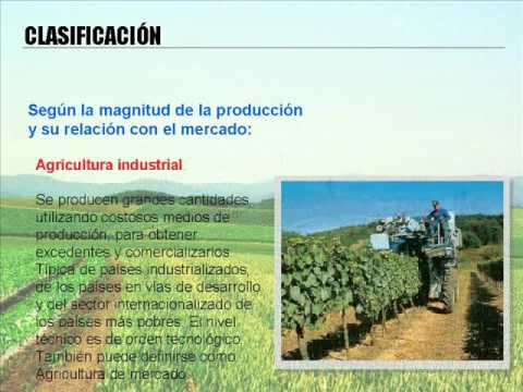 El Sector Agrario - Trabajo Economa Espaola y Mundial UAH
