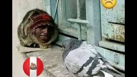 [1.9] My part in Elemelons by irsdorkage