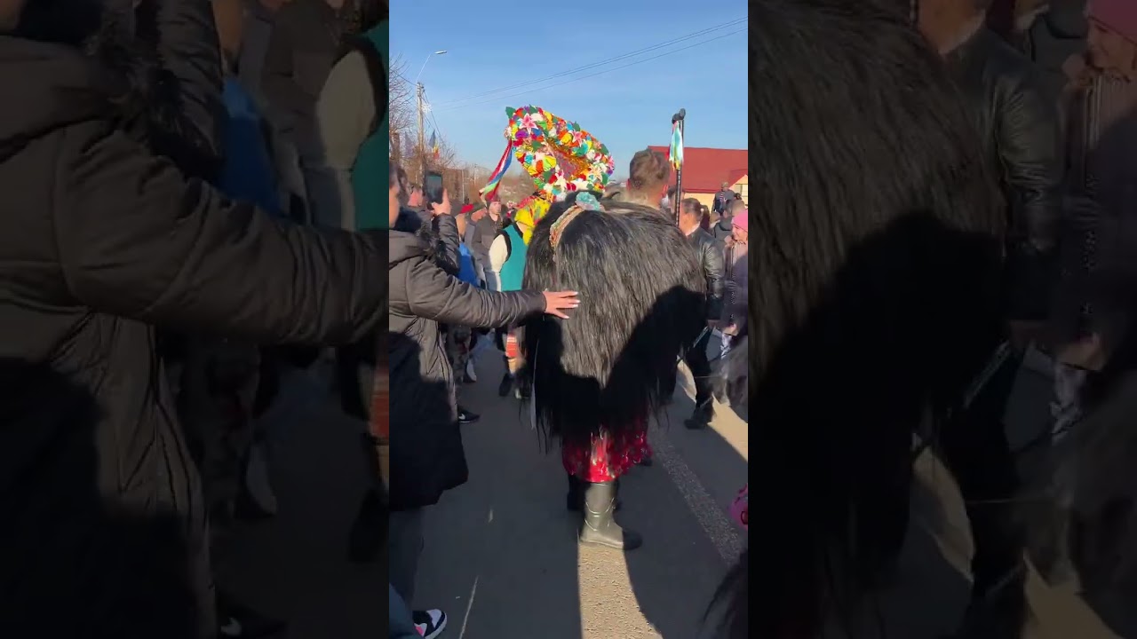 Mascați de anul 2023/2024