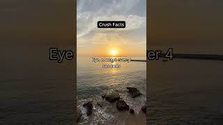 One small gesture that can spark big feelings. #crush  #facts  #psychology  #shorts