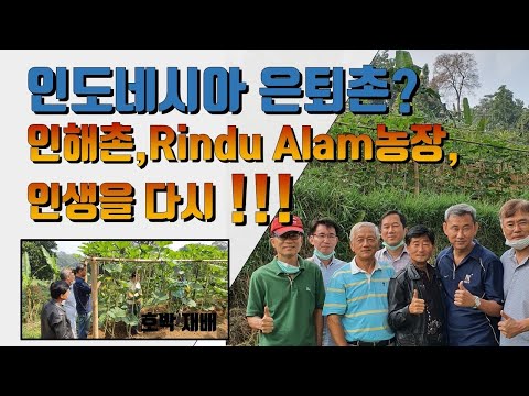 인도네시아 은퇴촌 농장