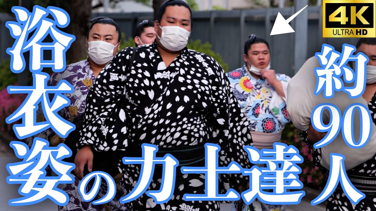 【力士入り待ち】第6弾。力士90人（たぶん）の浴衣姿＋…