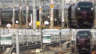 2021/03/22 JR East: E655 Series Nagomi at Oku Rail Yard & Oku