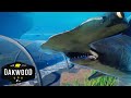 Working SHARK TUNNEL In Planet Zoo! 🦈 | Planet Zoo Mod Zoo Speedbuild