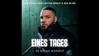 Fler x Sido x Bass Sultan Hengzt x Jess Glyne - Eines Tages (DJ Keule Mashup)