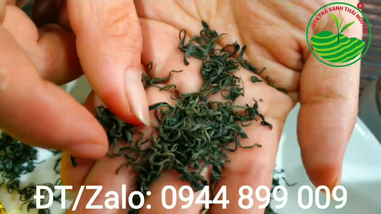 Top 10 giá chè tôm nõn Thái Nguyên ngon nhất 2023
