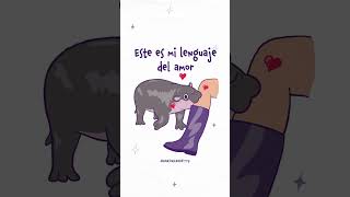 Este es mi lenguaje del amor #moodeng #frases #ilustracion #aaronjandette