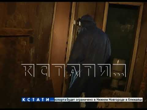 Квартиру ужасов приводят в порядок в Нижегородском районе