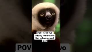 While LEAPING through the woods one day… #Zoboomafoo #shorts