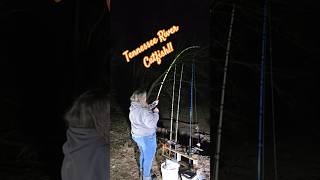 Tennessee River Catfish #tennesseerivercatfishing #fishing #Catfish #fish #fun #nature #adventure