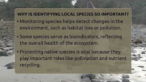 Why Is Identifying Local Species So Important? - Ecosystem Essentials