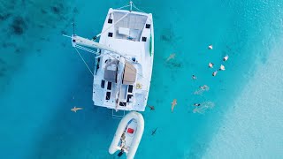 SURROUNDED BY SHARKS! Charter in the Bahamas