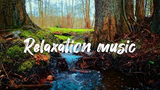 เสียงน้ำตกเพื่อผ่อนคลาย ฟังแล้วมีสมาธิ ช่วยให้หลับลึก #relaxingmusic #relax #relaxingsounds
