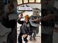BOOGIE VENT | МУЗЫКА ВАШЕГО КЛИМАТА #boogievent #mot#мот#motivation#стройка #россия#москва #музыка