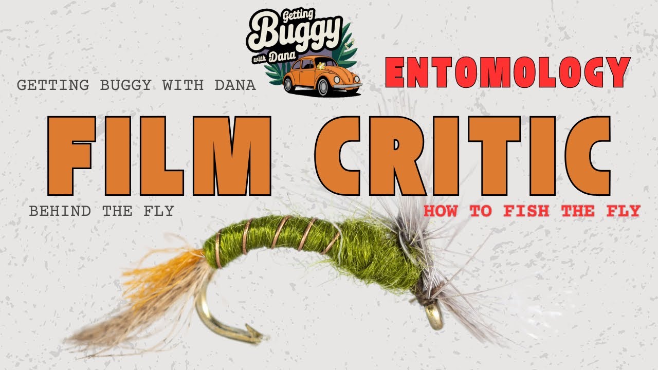 Getting Buggy with Dana: The Film Critic | Emergers & Bug Breakdown