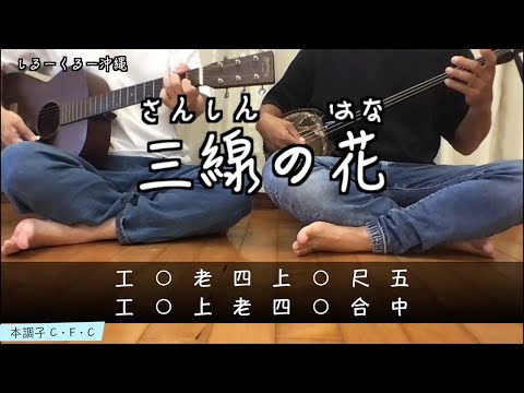 【三線の花】BEGINの名曲を沖縄三線とギターで弾き語りカバー #工工四 + 歌詞付き