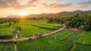 “Beautiful Farm Life 🌿🌾 | Peaceful Village Nature”