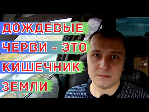 Дождевые черви - это самые недооценённые почвенные трудяги