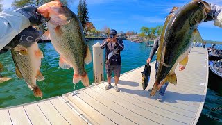 : Solid Start! WON BASS Clear Lake Open Day 1 w/ Miles Howe