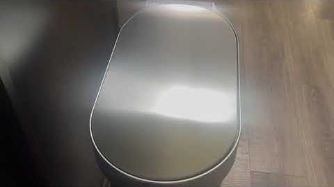 simplehuman 45 Liter / 12 Gallon Slim Hands-Free Kitchen Step Trash Can Review